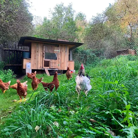 度假居 Statek Raj Netvorice, Tiny House And Farm Experience *